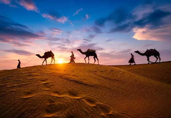 Rajasthan Tours