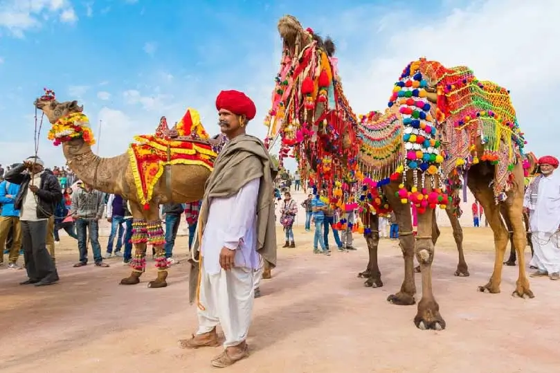 Golden Triangle with Pushkar Fair