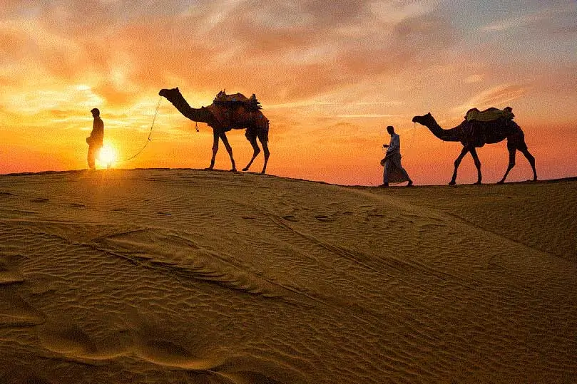 Royal Rajasthan